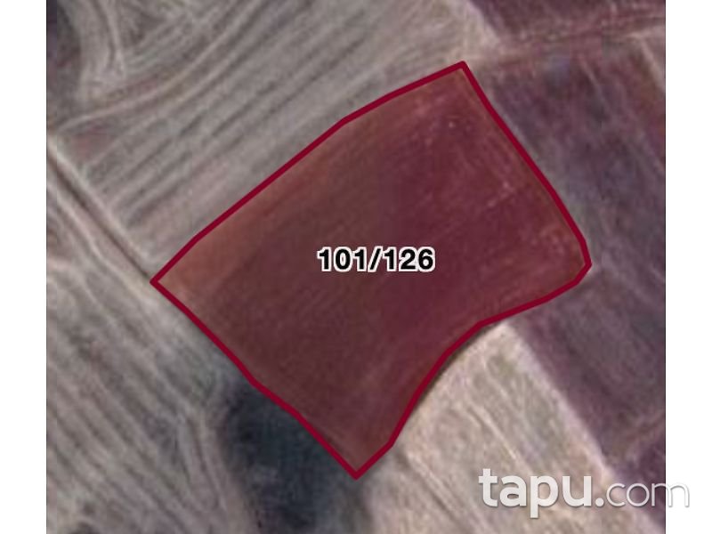 Çorum Sungurlu Akpınar Mahallesi'nde 16502 m2 Tarla