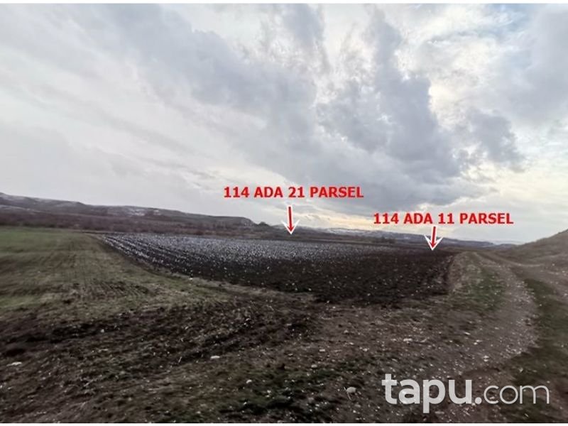 Çorum Sungurlu Akpınar Mahallesi'nde 6212 m2 Tarla