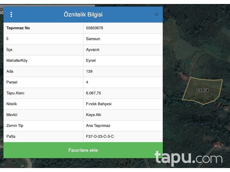 Samsun Ayvacık Eynel Mahallesi'nde 6067 m2 Fındık Bahçesi