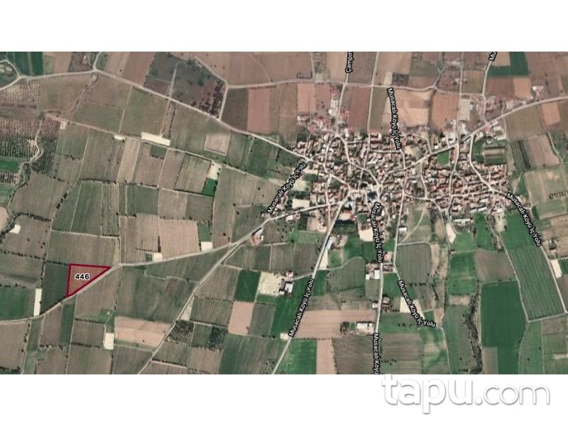 Manisa Turgutlu Musacalı Mahallesi'nde 6200 m2 Bağ