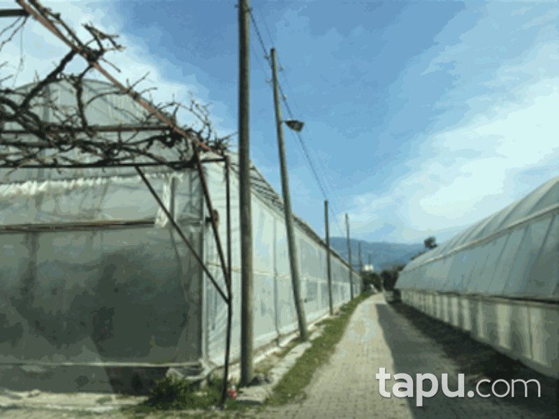 Muğla Seydikemer Kumluova Mahallesi'nde 5723 m2 Tarla