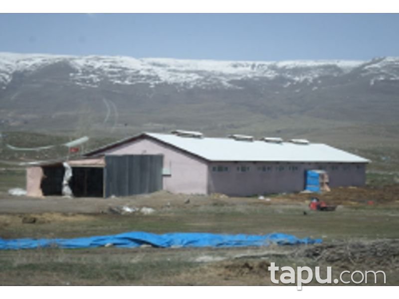 Erzurum Pasinler Çöğendere Mahallesi'nde Tek Katlı Betonarme Ahır ve Tarlası