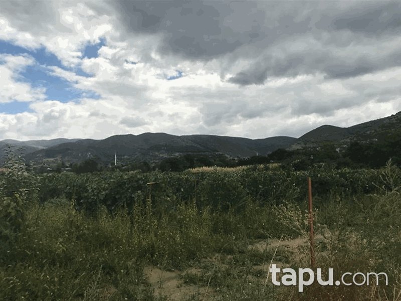 Tokat Pazar Fatih Mahallesi'nde 2838 m2 Tarla