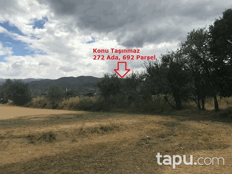 Tokat Pazar Fatih Mahallesi'nde 2838 m2 Tarla