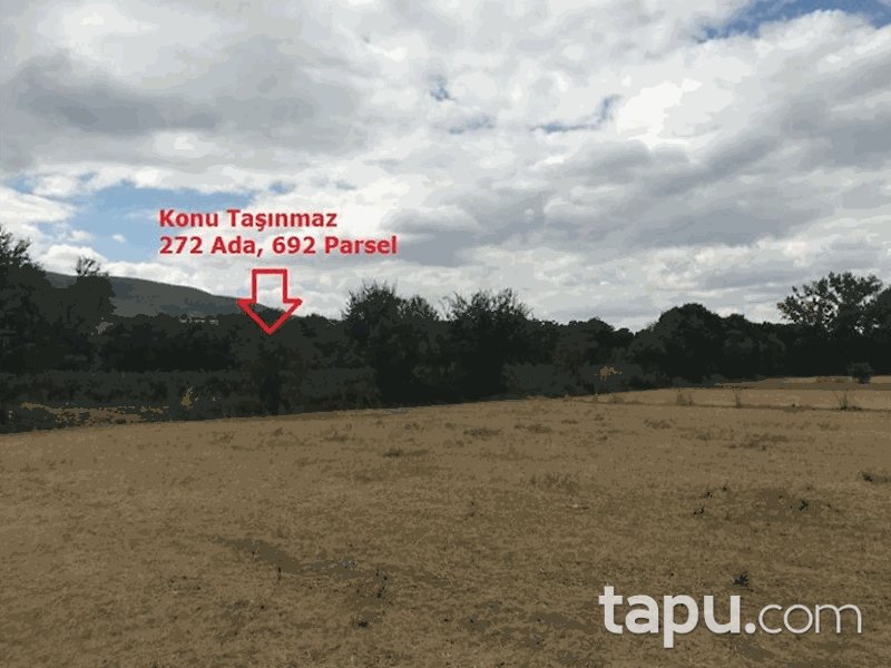 Tokat Pazar Fatih Mahallesi'nde 2838 m2 Tarla