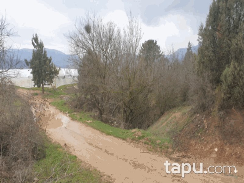 Bilecik Söğüt Tuzaklı Mahallesi'nde 4325 m2 Bağ