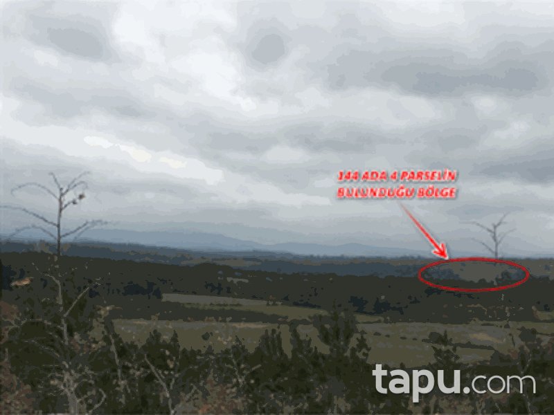 Çanakkale Bayramiç Yiğitler Mahallesi'nde 14300 m2 Tarla