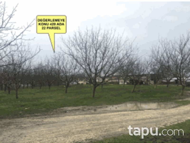 Edirne Keşan Yenimuhacir Mahallesi'nde 13 Dönüm Tarla