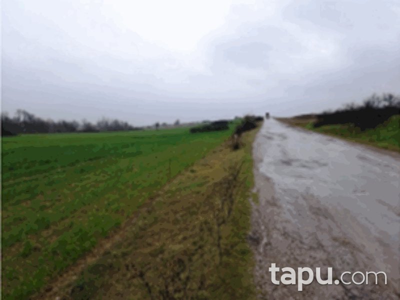 Kırklareli Babaeski Sofuhalil Mahallesi'nde 4480 m2 Tarla