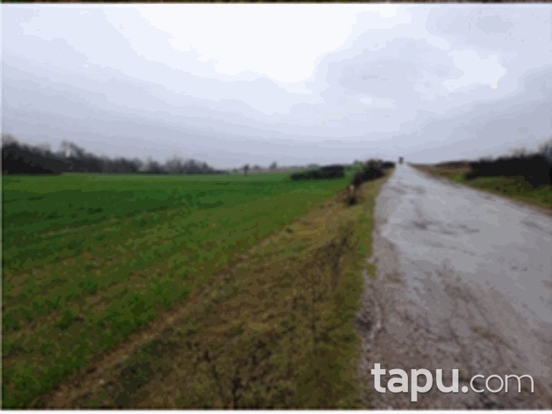 Kırklareli Babaeski Sofuhalil Mahallesi'nde 4480 m2 Tarla