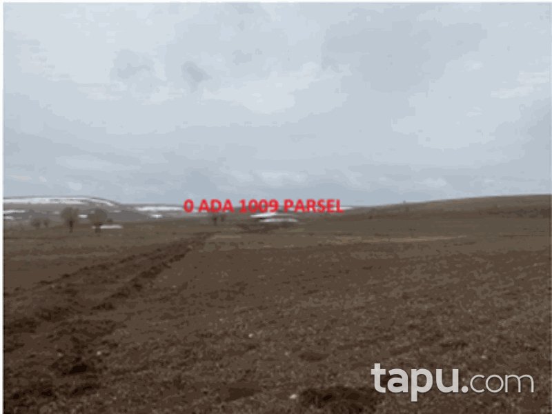 Sivas Merkez Başsöğüt Mahallesi'nde 8900 m2 Tarla