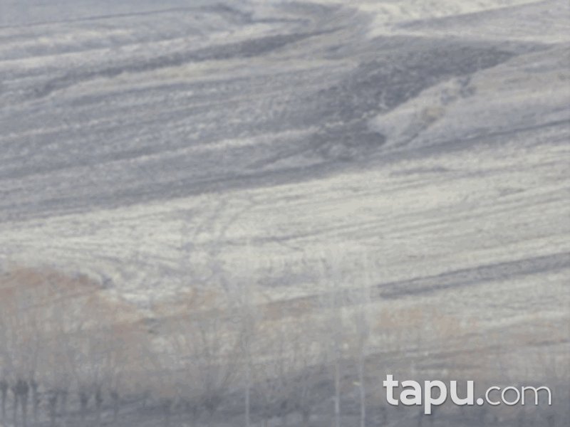 Sivas Merkez Başsöğüt Mahallesi'nde 3500 m2 Tarla