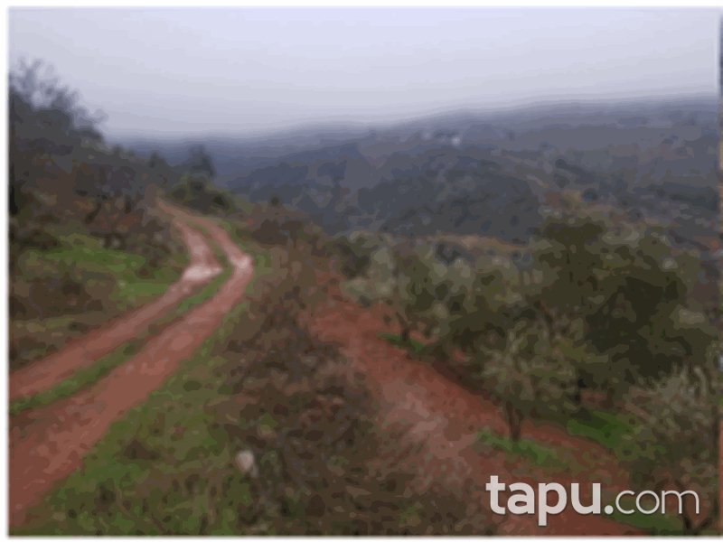 Kahramanmaraş Merkez Fatmalı Mahallesi'nde 7445 m2 Bağ