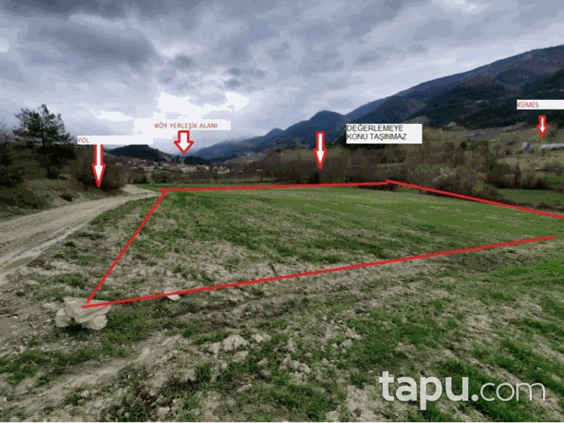 Bolu Göynük Kaçıkçışeyhler Mahallesi'nde 2361 m2 Tarla