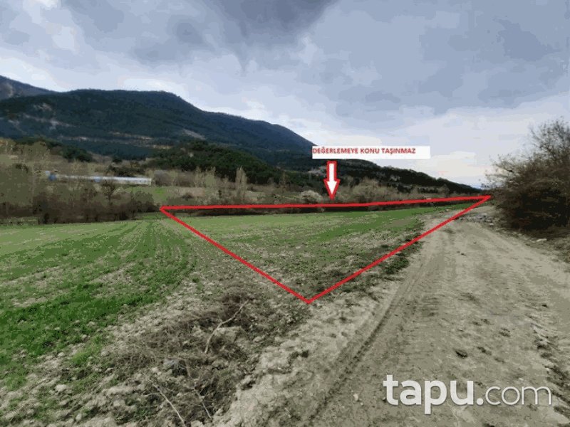 Bolu Göynük Kaçıkçışeyhler Mahallesi'nde 2361 m2 Tarla