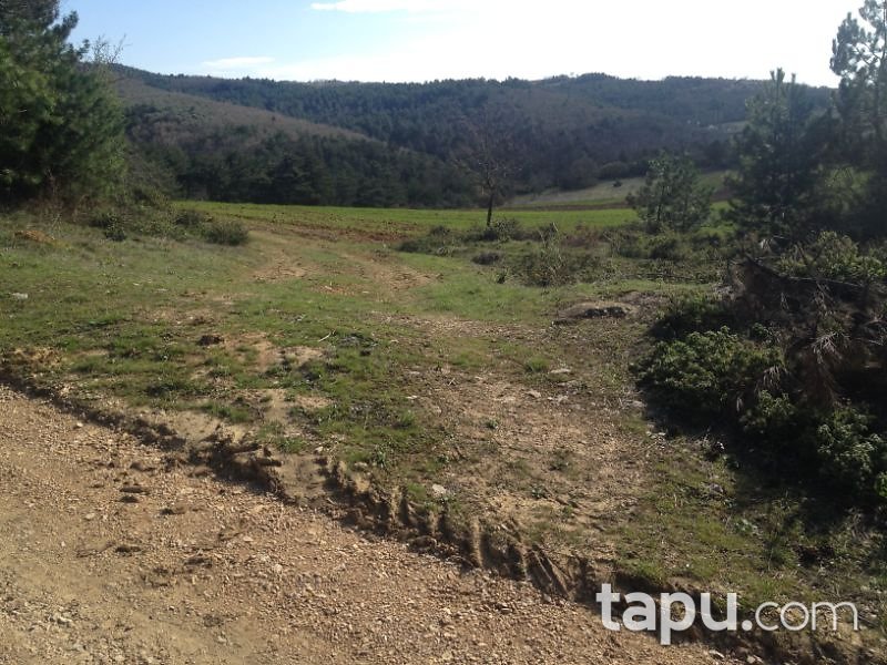 Bilecik Gölpazarı Söğütçük Mahallesi'nde 549 m2 Tarla