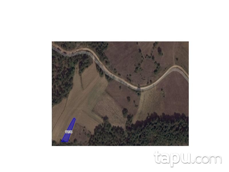 Bilecik Gölpazarı Söğütçük Mahallesi'nde 549 m2 Tarla