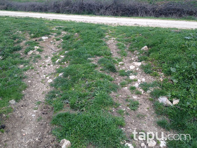 Bilecik Gölpazarı Söğütçük Mahallesi'nde 881 m2 Tarla