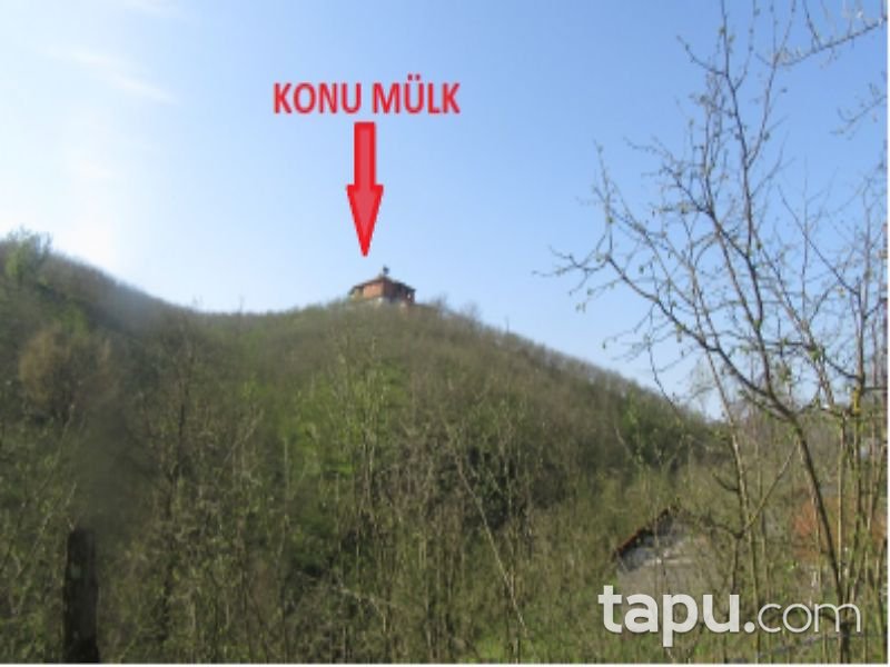 Sakarya Hendek Dereköy Mahallesi'nde 28812 m2 Kargir Ev, Ahır, Samanlık ve Fındık Bahçesi