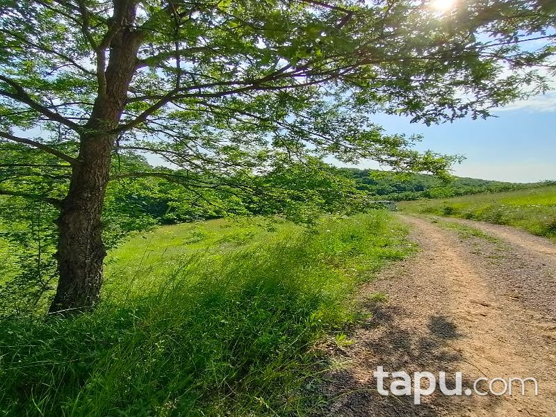 Sakarya Adapazarı Elmalı Mahallesi'nde 709 m2 Tarla