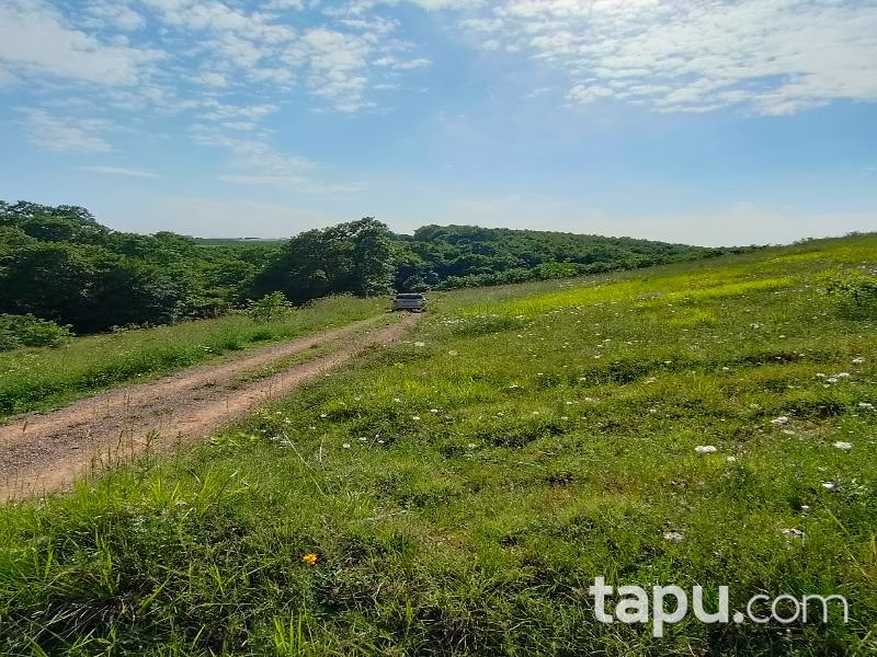 Sakarya Adapazarı Elmalı Mahallesi'nde 709 m2 Tarla