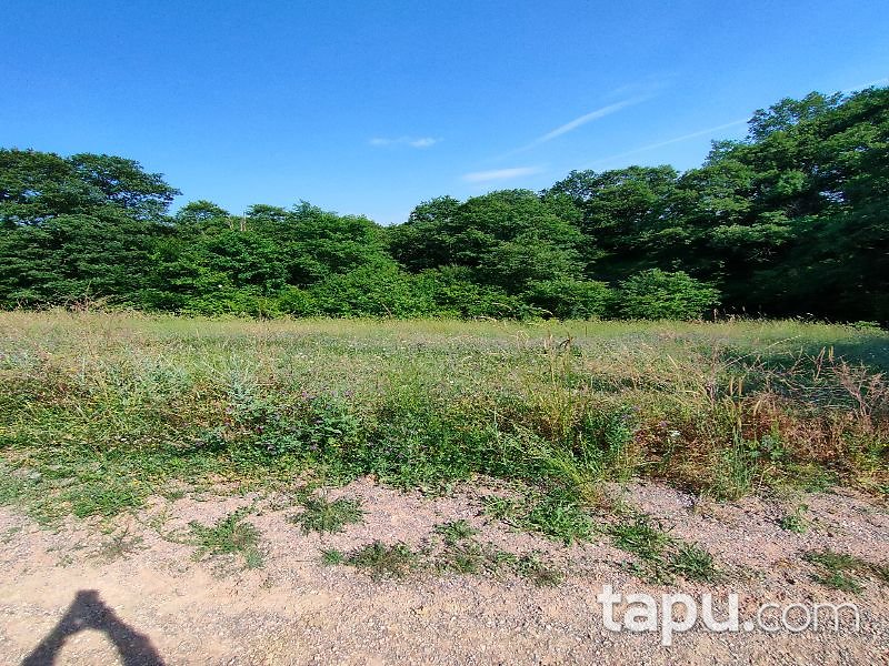 Sakarya Adapazarı Elmalı Mahallesi'nde 709 m2 Tarla