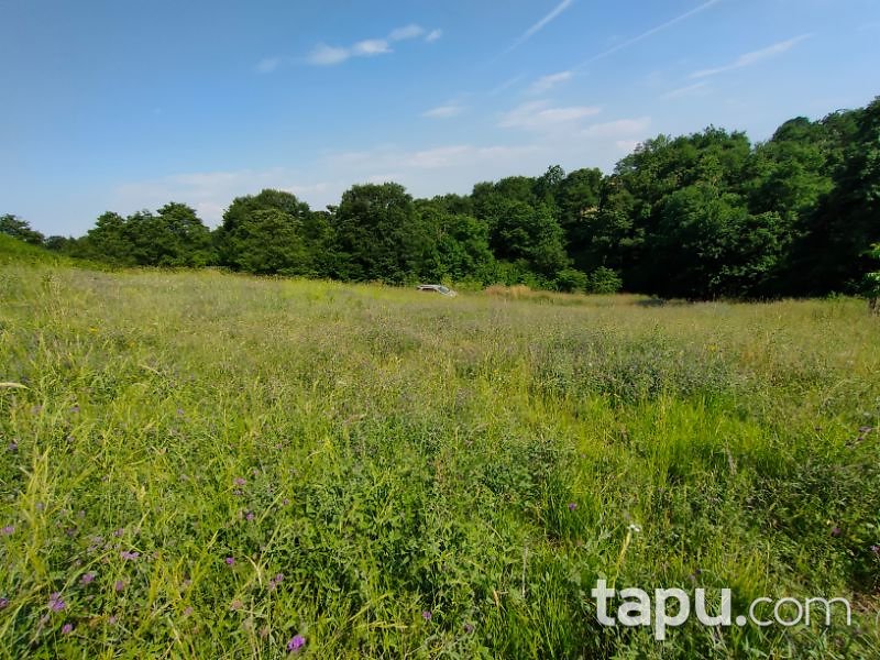 Sakarya Adapazarı Elmalı Mahallesi'nde 709 m2 Tarla