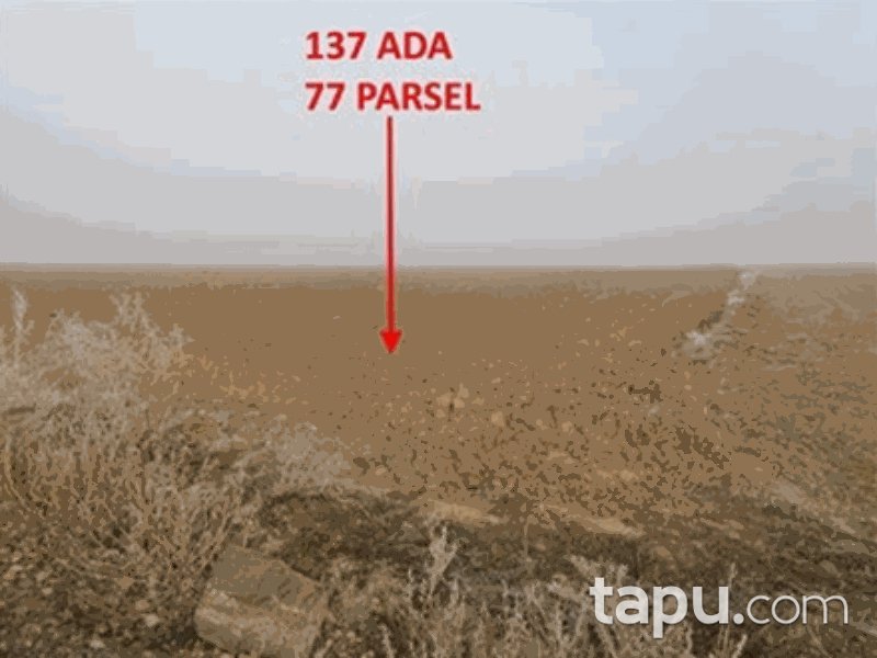 Konya Yunak Hurşunlu Mahallesi'nde 8872 m2 Tarla