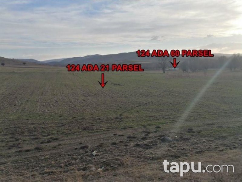 Çankırı Çerkeş Karamustafa Mahallesi'nde 1910 m2 Tarla