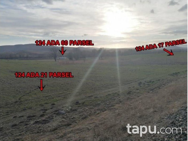 Çankırı Çerkeş Karamustafa Mahallesi'nde 4089 m2 Tarla