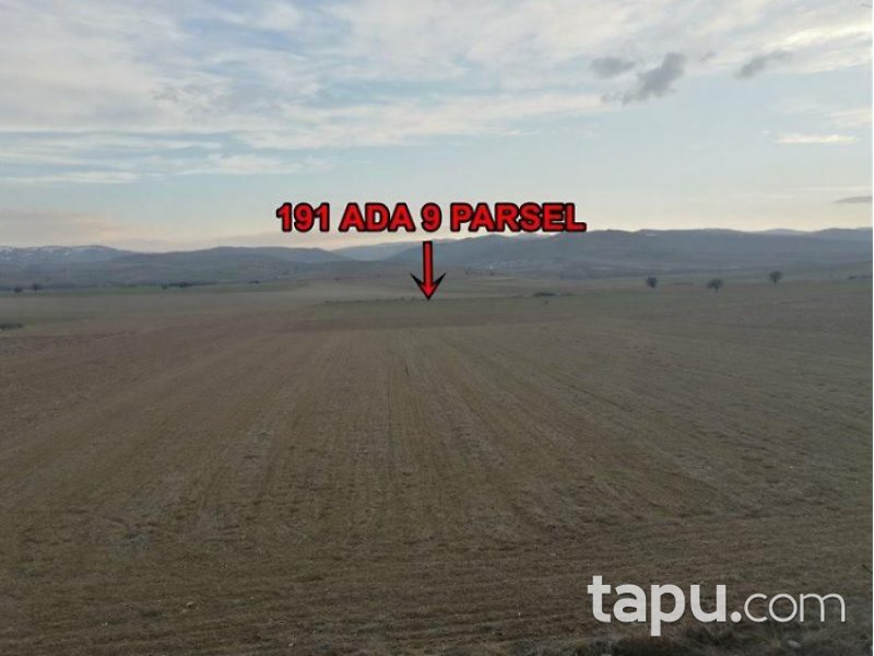 Çankırı Çerkeş Saçak Kayabaşı Mahallesi'nde 1883 m2 Tarla