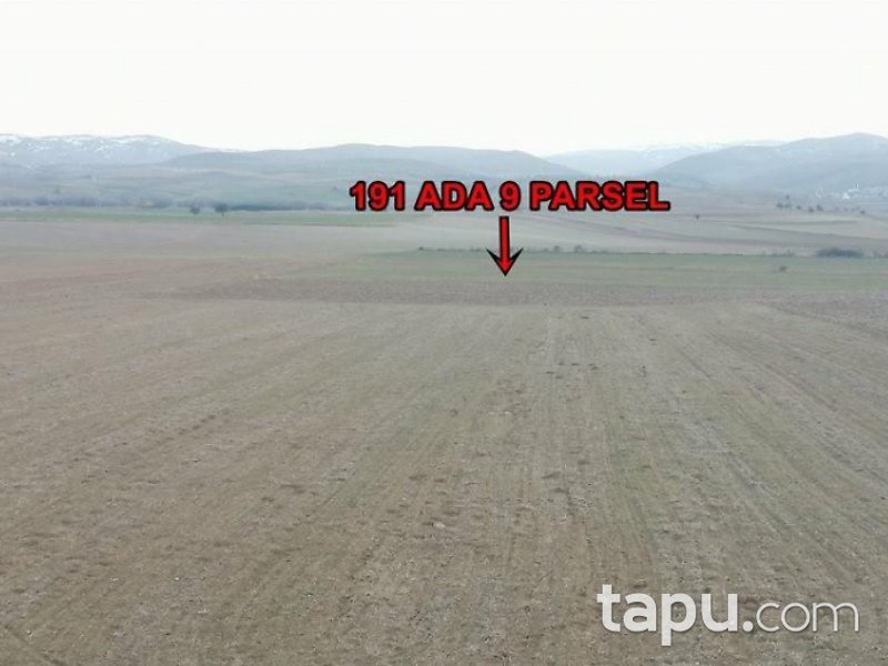 Çankırı Çerkeş Saçak Kayabaşı Mahallesi'nde 1883 m2 Tarla