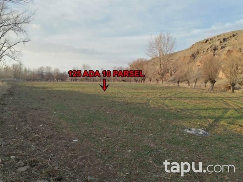 Çankırı Çerkeş Karamustafa Mahallesi'nde 1596 m2 Tarla