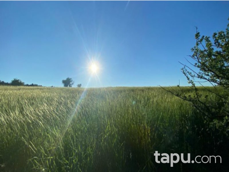 Kastamonu Merkez Örencik Mahallesi'nde 6 Dönüm Tarla