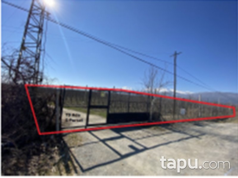 Afyon Sultandağı Pazaraltı Mahallesi'nde 24 Dönüm Meyve Bahçesi