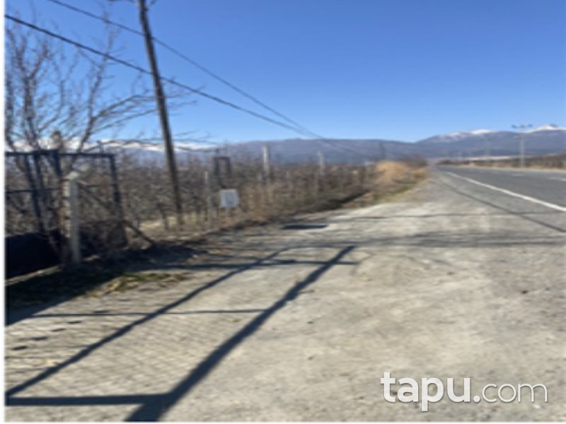 Afyon Sultandağı Pazaraltı Mahallesi'nde 24 Dönüm Meyve Bahçesi