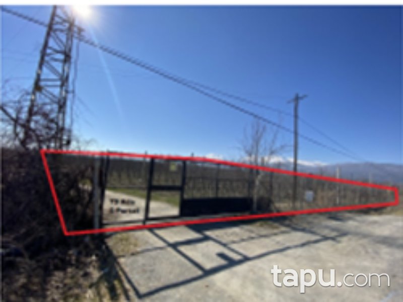 Afyon Sultandağı Yıldırım Mahallesi'nde 6219 m2 Bahçe