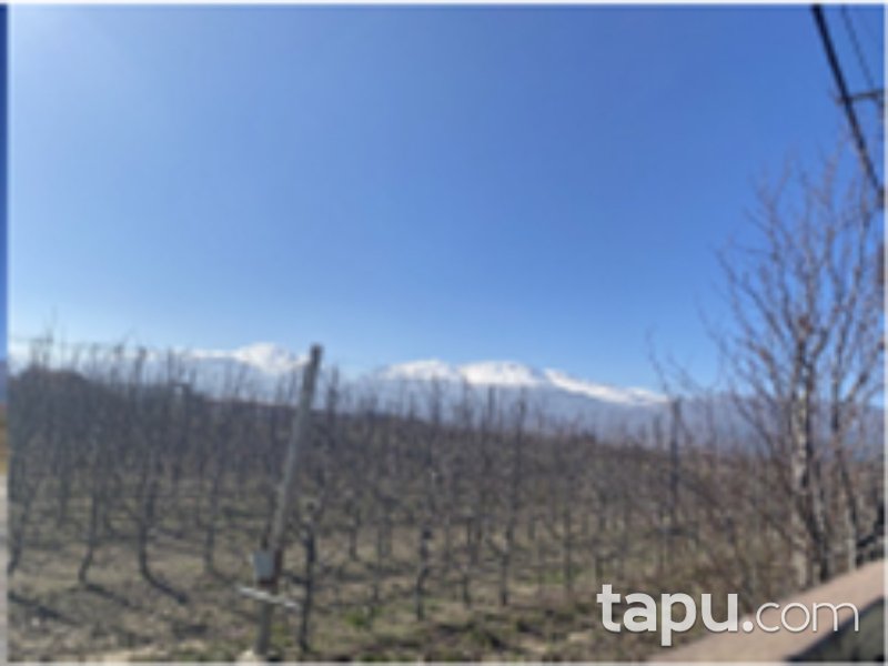 Afyon Sultandağı Yıldırım Mahallesi'nde 6219 m2 Bahçe