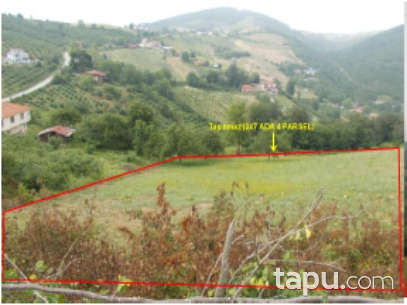 Samsun Tekkeköy Çayırçökek Mahallesi'nde 7111 m2 Tarla
