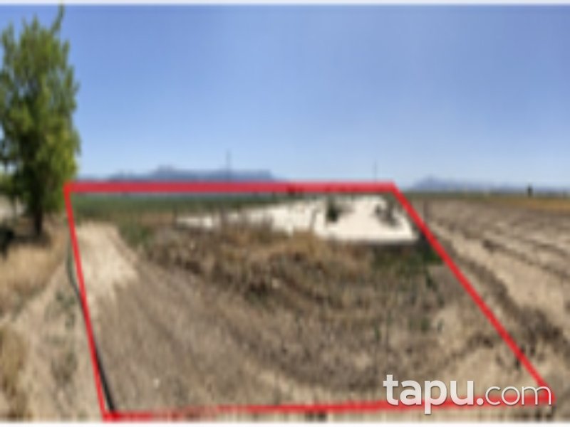 Afyonkarahisar Basmakçı Merkez Mahallesi'nde 35 Dönüm Tarla