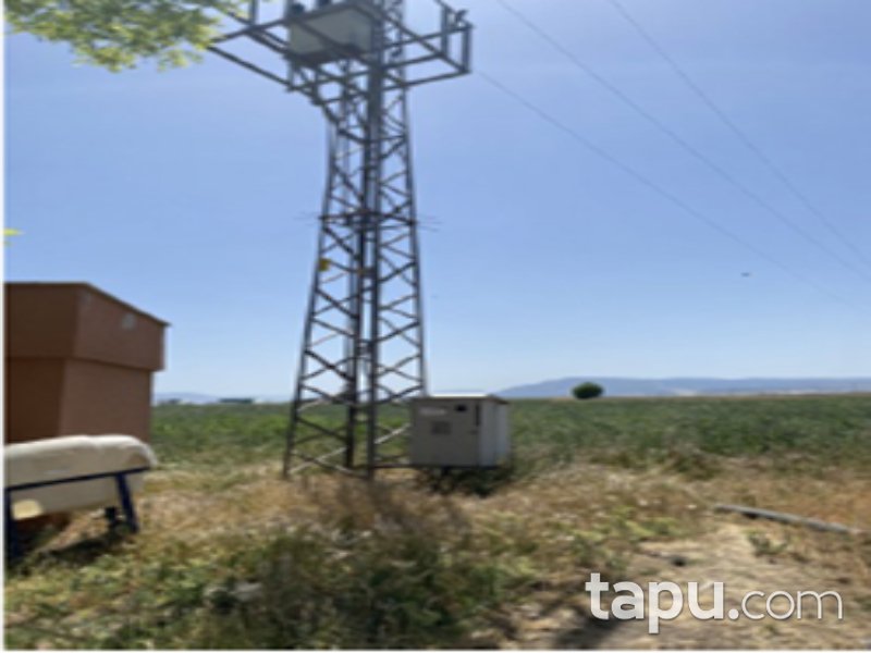 Afyonkarahisar Basmakçı Merkez Mahallesi'nde 35 Dönüm Tarla