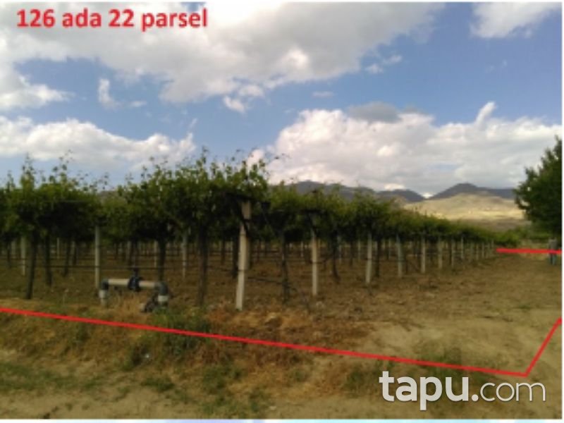 Manisa Alaşehir Gümüşçay Mahallesi'nde 4438 m2 Tarla