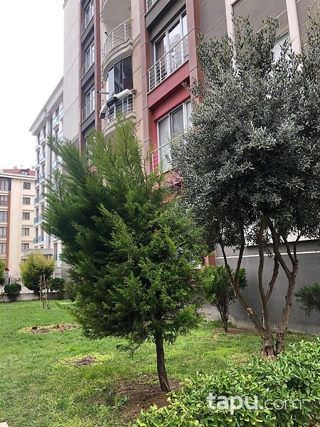 Beylikdüzü Adel Palas'ta 160 m2 2+1 Daire