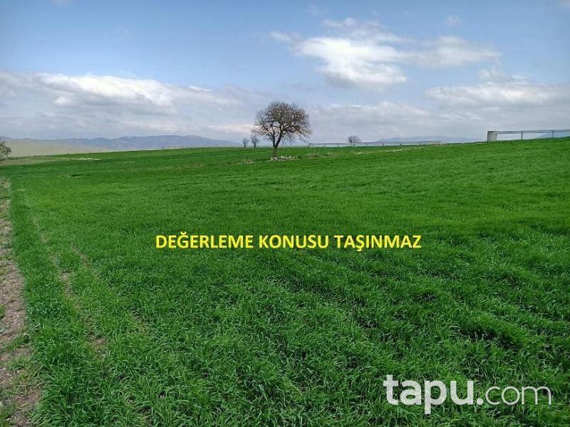 Balıkesir Kepsut Hotaşlar Mahallesi'nde 4100 m2 Tarla (1450)