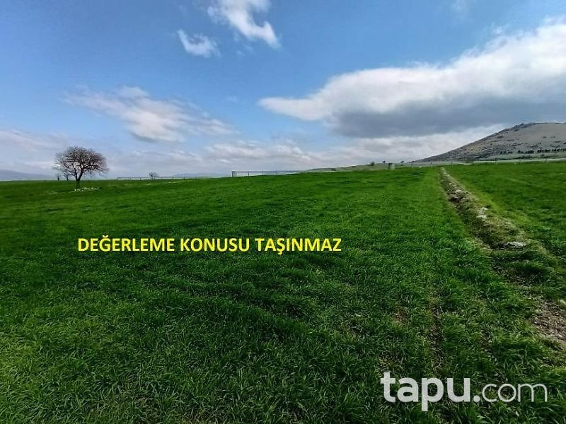 Balıkesir Kepsut Hotaşlar Mahallesi'nde 4100 m2 Tarla (1450)