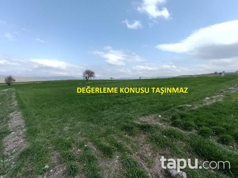 Balıkesir Kepsut Hotaşlar Mahallesi'nde 4100 m2 Tarla (1450)