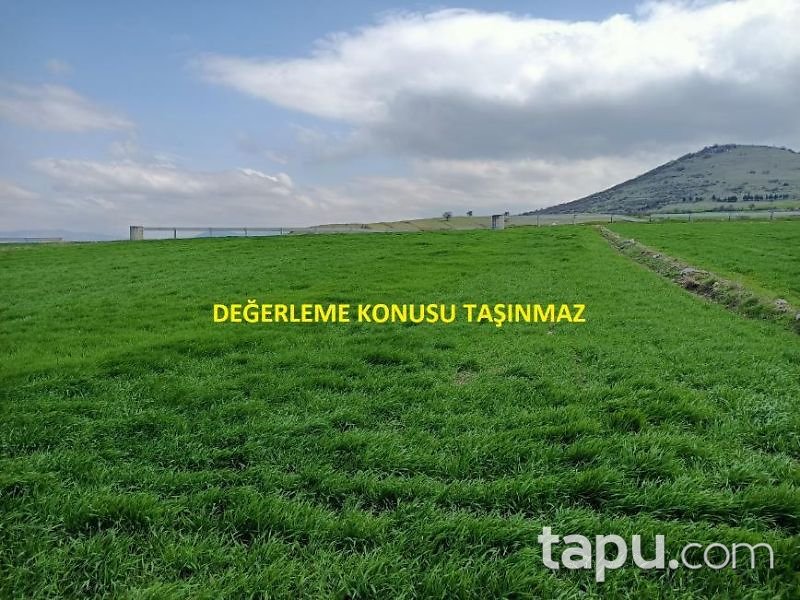 Balıkesir Kepsut Hotaşlar Mahallesi'nde 4100 m2 Tarla (1450)