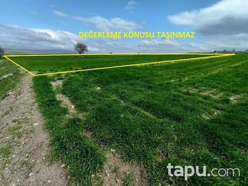 Balıkesir Kepsut Hotaşlar Mahallesi'nde 4100 m2 Tarla (1450)