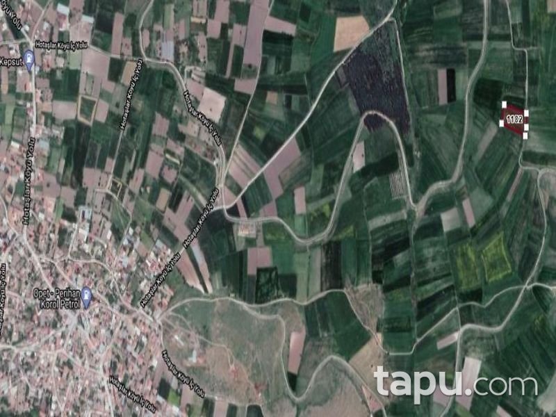 Balıkesir Kepsut Hotaşlar Mahallesi'nde 4100 m2 Tarla (1450)
