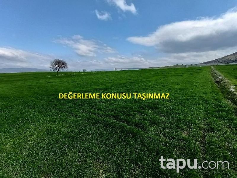Balıkesir Kepsut Hotaşlar Mahallesi'nde 4100 m2 Tarla (1450)